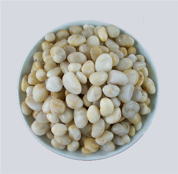 浅浅视频APP下载污美女濾料